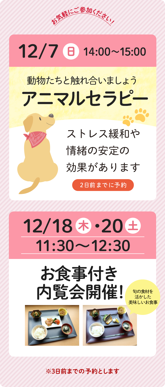 イベント情報随時更新中!